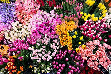 《乐高大乱斗》PC与主机版上市日期现已正式公布